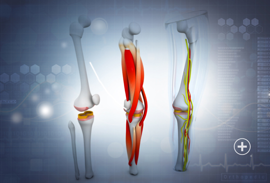 Partial Knee Replacement